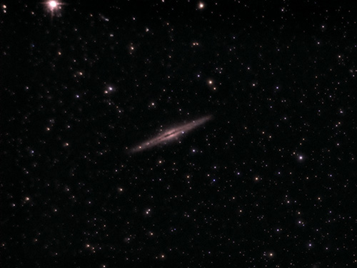 NCG 891 aka Silver Sliver Galaxy, or the Outer Limits Galaxy, taken by member Dan Ward at Turner Farm on Feb 20, 2026.